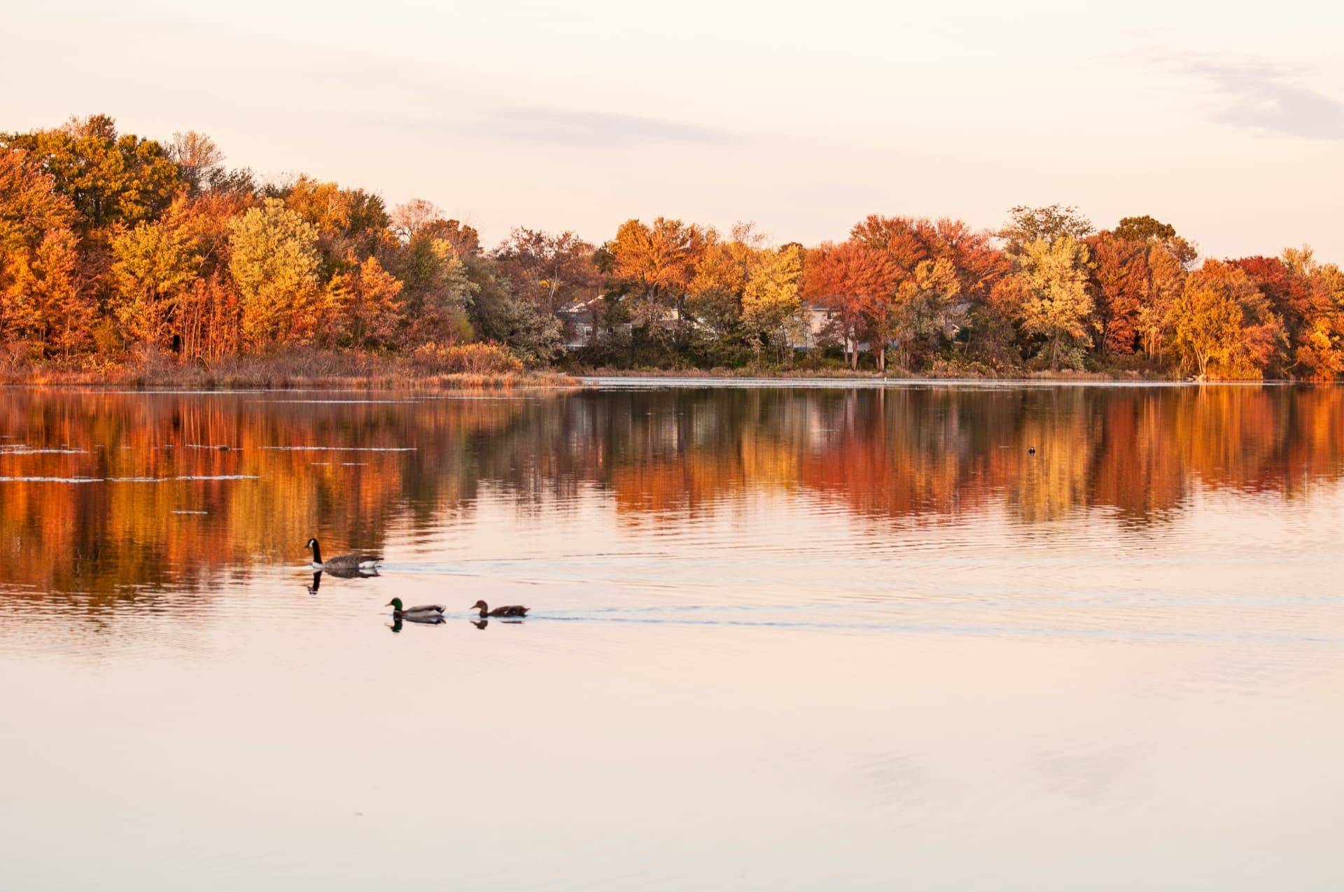 Rolling New England landscape at golden hour