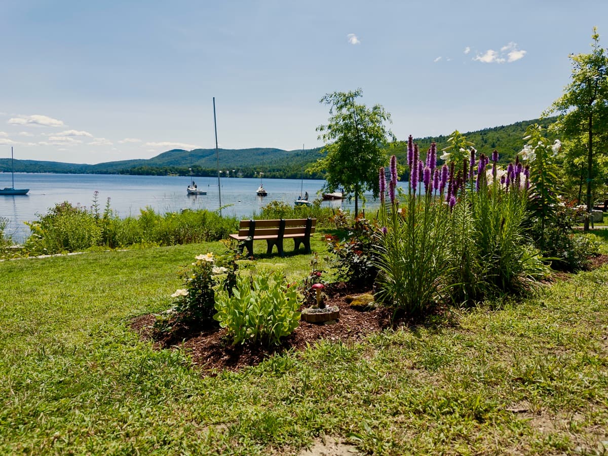 Calm lake surrounded by trees at sunset